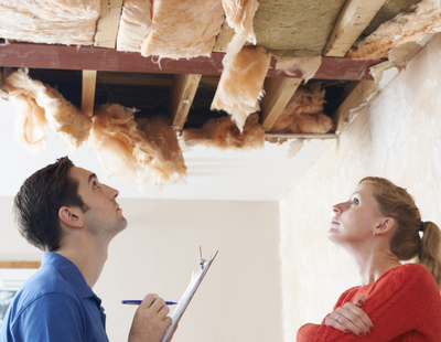 Industry insider demands damp and mould rental property campaign