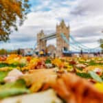 Rental re-lets snapped up quickly according to new data