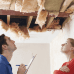 Industry insider demands damp and mould rental property campaign