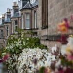 Street view of Victorian houses with blooming bushes in front, UK.