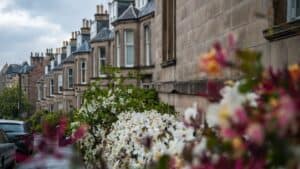 Street view of Victorian houses with blooming bushes in front, UK.
